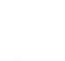 White violin icon